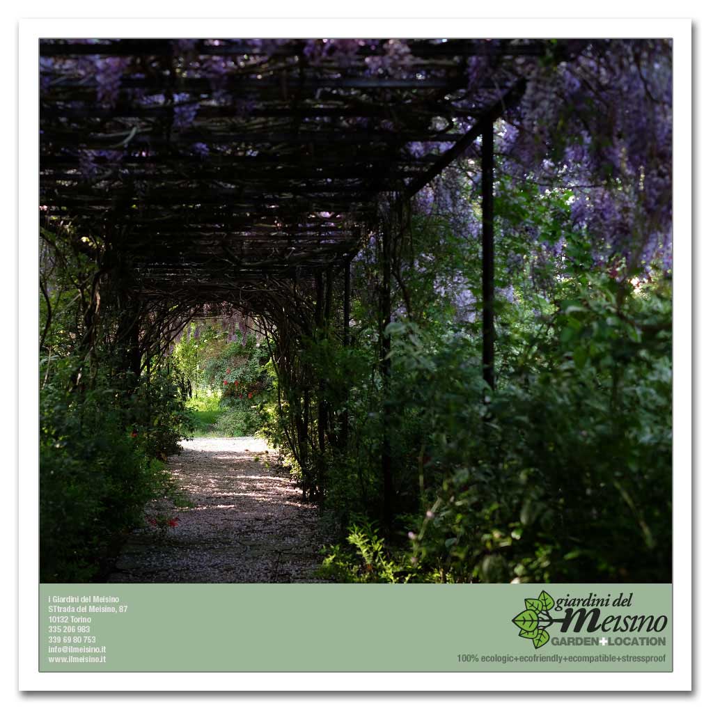 giardini meisino location torino 146